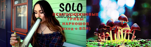 стафф Медногорск