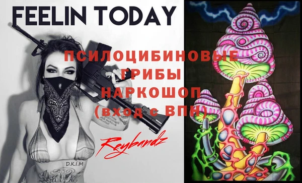 твердый Михайловка