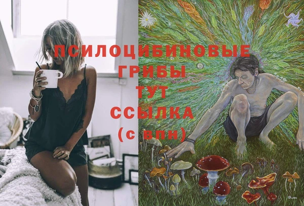 ешки Михайловск