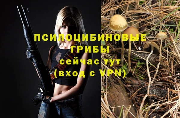 твердый Михайловка