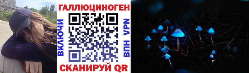 Псилоцибиновые грибы Psilocybe Наволоки